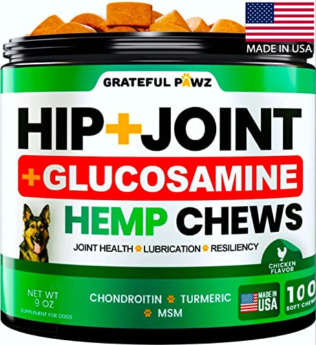 Hemp Hip and Joint Supplement for Dogs - Glucosamine for Dogs - Dog Joint Pain Relief Treats - Chondroitin, MSM, Hemp Oil - Advanced Dog Joint Supplement Health - Mobility Support Chews - Made in USA
