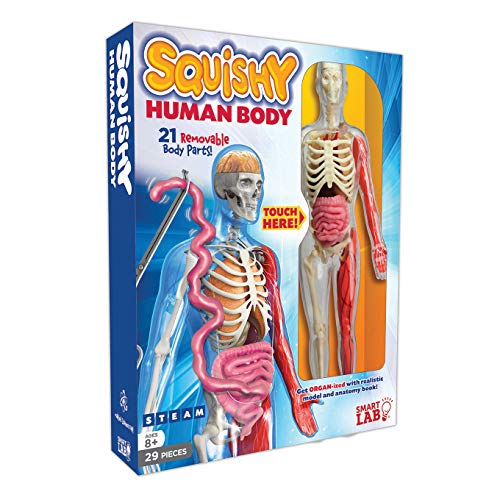 SmartLab Toys Squishy Human Body with 21 Removable Body Parts with Anatomy Book