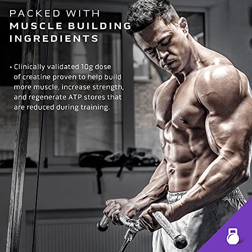 Mass Gainer Protein Powder 