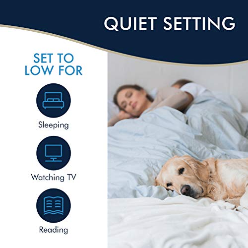 DeLonghi PACEM370 WH Penguino Portable Air Conditioner, White