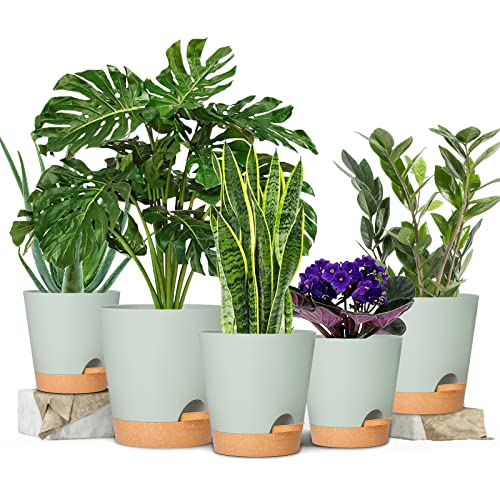 Plant Pots 7/6.5/6/5.5/5 Inch GARDIFE Self Watering Planters with Drainage Hole, Plastic Flower Pots, Nursery Planting Pot for Indoor Plants, Succulents,Snake Plant, African Violet, and Cactus,Green