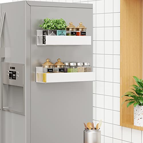 Moveable Fridge Magnetic Spice Racks