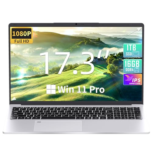 17.3" Laptop, 16GB RAM, 1TB Celeron N5095 (Up to 2.9 GHz), FHD IPS Display, 【Win 11 Pro/Office 2019】 HDMI/Fingerprint Reader/Backlit Keyboard/WiFi/Ideal for Work & Study (960GB)