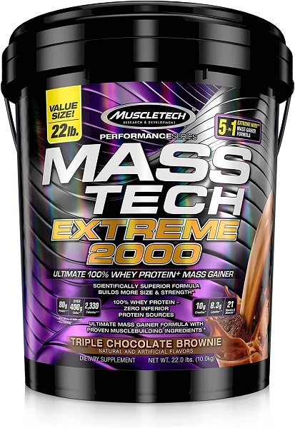 Mass Gainer Protein Powder