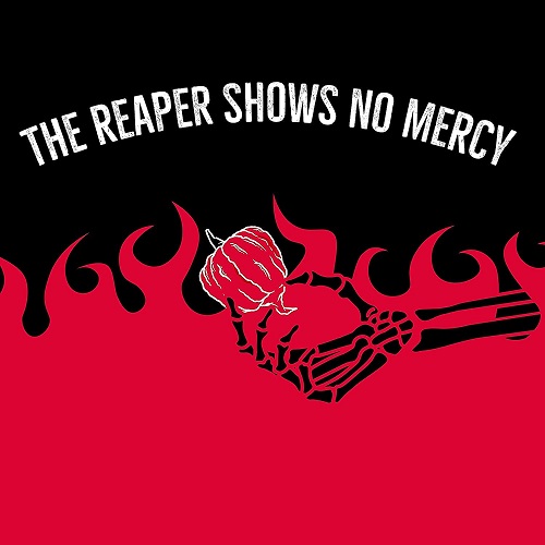 Paqui Carolina Reaper Madness One Chip Challenge Tortilla Chip