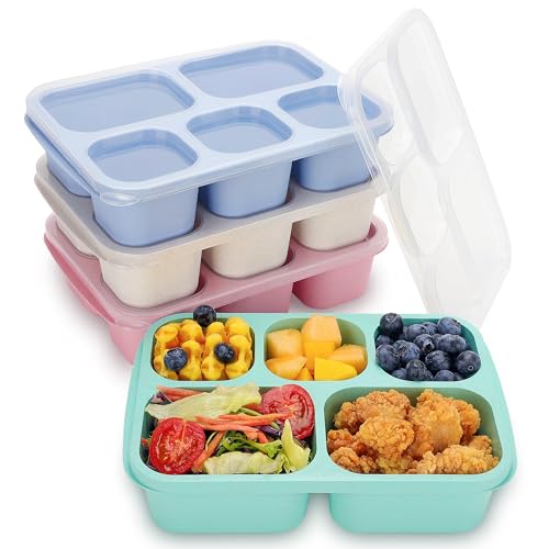 Bento Box Adult Lunch Containers, Bento Box for Kids, 4 Pack 5-Compartment Meal Prep Containers Lunch Boxes, Reusable Food Storage Snack Containers With Lids for School, Work, and Travel