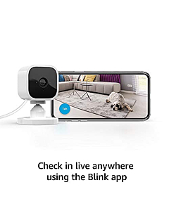 Mobile app screenshot displaying live feed from Blink Mini with motion detection highlighted