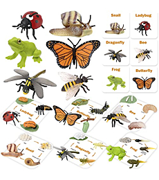 MIKNEKE Montessori Life Cycle Animal Figures with Flash Cards, Realistic Animal Figurines, Montessori Materials Homeschool Preschool Educational Matching Game for Toddlers Kids (Insect)