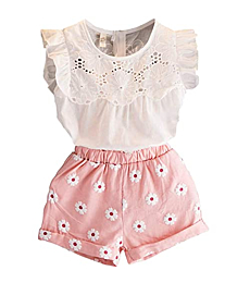 2PCS Set Toddler Kids Baby Girls Outfits Clothes T-Shirt Vest Tops+Shorts Pants(3T, Pink)