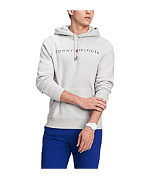 Tommy Hilfiger mens Logo Hooded Sweatshirt, Ambrosia, Medium US