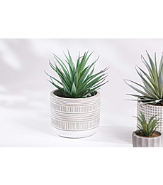 Kurrajong Farmhouse 8" x 4.5" Artificial Plant in Pot | Beautiful Faux Plant for Bedroom Decor | Fake Plant for Shelf Decor | Realistic Faux Succulent for Desk Decor | Artificial Succulent Plant