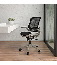 Flash Furniture Mid-Back Transparent Black Mesh Executive Swivel Office Chair with Graphite Silver Frame and Flip-Up Arms