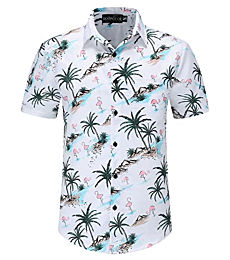 DOOPCCOR Hawaiian Casual Button Down Shirts Hawaiian Tropical Shirt for Men-11-3XL