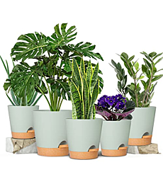 Plant Pots 7/6.5/6/5.5/5 Inch GARDIFE Self Watering Planters with Drainage Hole, Plastic Flower Pots, Nursery Planting Pot for Indoor Plants, Succulents,Snake Plant, African Violet, and Cactus,Green