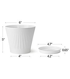 Plastic Pots for Plants, 10 Pack 6 inch Plant Flower Pots with Multiple Drainage Holes and Trays, Indoor Modern Garden Planter Pots for All Houseplants, Aloe, Succulents, White