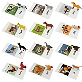 Farm Animal Toys with Flash Cards - 12 Sets of Realistic Animal Figures - Educational Learn Cognitive Toys & Animal Matching Game Playset for Toddlers Kids