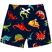 Lovekider Boys Swimwear 3T Funny Dinosaur Swim Trunks for Kids Casual Quick-Drying Beach Boys Bathing Suit Toddler Sports Swim Surf Board Shorts