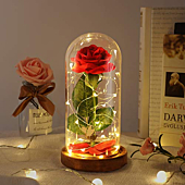 Valentine's Day Gifts, Beauty and The Beast Rose, Dome Glass and Red Silk Rose, LED Light, Unique Gift Decoration, Gifts for Women, Suitable for Decoration in Bedroom, Dining Table and Bar