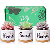 POTEY Artificial Succulents in Pots, Home Sweet Home 3.23 Inch Ceramic Pots with Plants, Gift Box and Card, House Warming Gifts for New Home, Birthday Wedding Gift for Home Decor