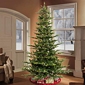 Pre-Lit Aspen Fir Artificial Christmas Tree with 700 UL Listed Clear Lights Green in the Living Room