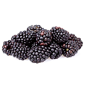 Organic Blackberries, 6 oz