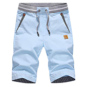Tansozer Men's Shorts Casual Classic Fit Drawstring Summer Beach Shorts with Elastic Waist and Pockets (Sky Blue, Large)