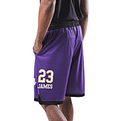 Ultra Game NBA Los Angeles Lakers - Lebron James Mens Active Mesh Basketball Short, Team Color, Medium