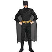 Rubie's mens The Dark Knight Rises Deluxe Batman adult sized costumes, Black, Large US