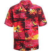 Hawaiian Shirts for Men Short Sleeve Regular Fit Mens Floral Shirts (YH1906,L)