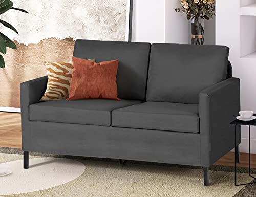 TYBOATLE Fabric Modern Loveseat Sofa Couch for Living Room, 51" W Upholstered Love Seats 2-Seater Furniture w/Iron Legs for Compact Small Space, Apartment, Bedroom, Dorm, Office (Dark Grey)