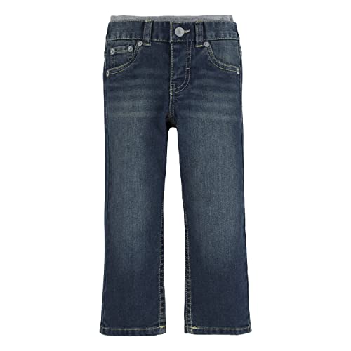 Levi's Baby Boys Straight Fit Jeans, Covered Up, 18M