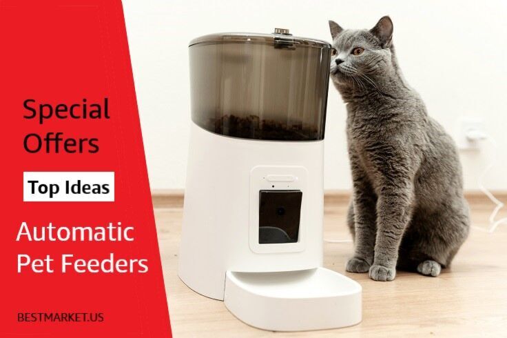 Automatic Cat Feeders 