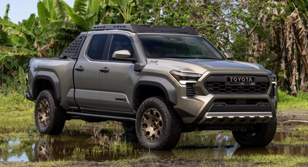 2024 toyota tacoma usa