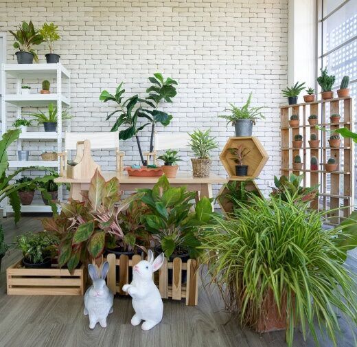 Patio, Lawn & Garden