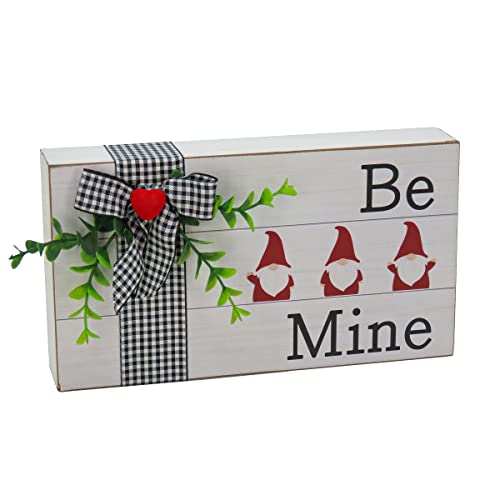 National Tree Company MZ17-22V211C-1 Decoration, White