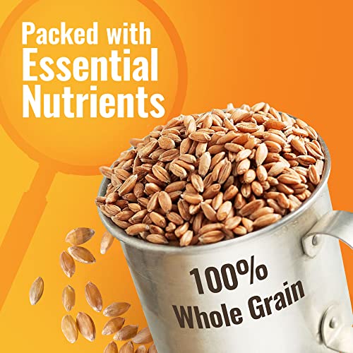 Organic Hard White Wheat Berries - 25 lbs