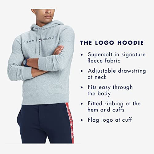 Tommy Hilfiger mens Logo Hooded Sweatshirt, Ambrosia, Medium US