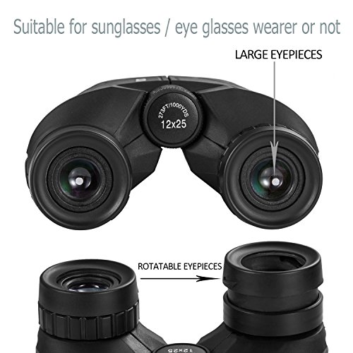 Compact Binocular