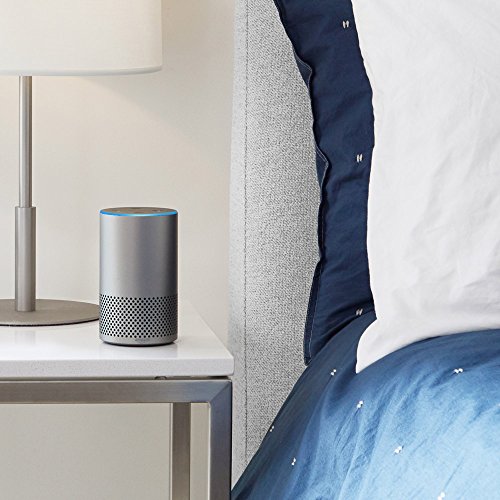 Echo Shell (fits Echo 2nd Generation only)