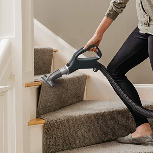Shark ZU62 Navigator Zero-M Self-Cleaning Brushroll Pet Pro Upright Vacuum, Pewter Grey Metallic