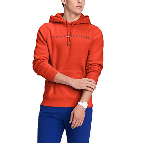Tommy Hilfiger mens Logo Hooded Sweatshirt, Ambrosia, Medium US