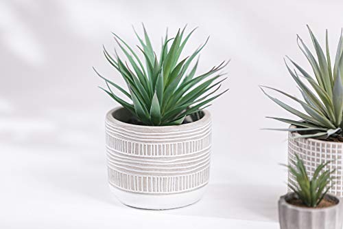 Kurrajong Farmhouse 8" x 4.5" Artificial Plant in Pot | Beautiful Faux Plant for Bedroom Decor | Fake Plant for Shelf Decor | Realistic Faux Succulent for Desk Decor | Artificial Succulent Plant