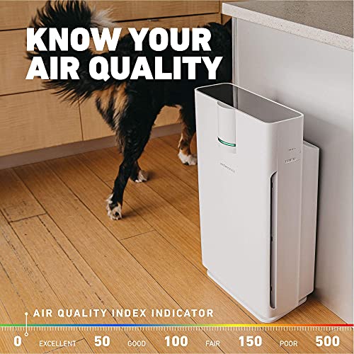 HATHASPACE Smart Air Purifier 2.0 for Home Large Room with True HEPA Air Filter for Allergens, Pets, Smoke, Quiet Air Cleaner, Removes 99.9% of Dust, Mold, Pet Dander, Odors, Pollen - HSP002 - 1500 Sq. Ft. Coverage - H13 True HEPA