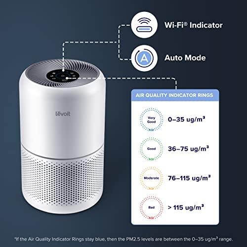 Air Purifiers for Home Bedroom H13 True HEPA Filter for Large Room, Sleep, Quiet Cleaner for Dust, Allergies, Pets, Smoke, White Noise, Smart WiFi, Auto Mode, 300S By LEVOIT 
