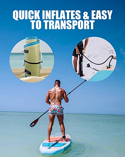 Paddle Board