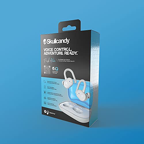 Skullcandy Push Active True Wireless in-Ear Earbud - Light Grey/Blue