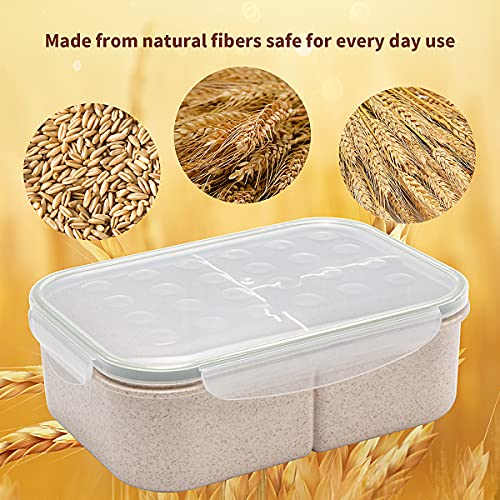 Bento Box,Bento Box Adult Lunch Box,Ideal Leak Proof Lunch Containers,Mom’s Choice Kids Lunch Box,No BPAs and No Chemical Dyes,Microwave and Dishwasher Safe Lunch Containers for Adults (White, L)