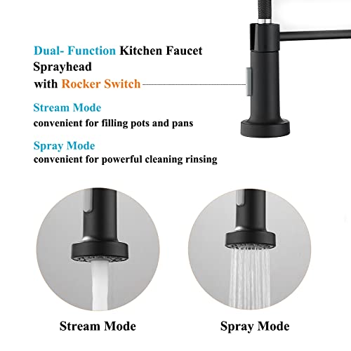 BASDEHEN Kitchen Faucets with Pull Down Sprayer, Black Spring Commercial Kitchen Sink Faucet Solid Brass with 10 Inch Mounting Table 1 Hole Or 3 Hole Compatible