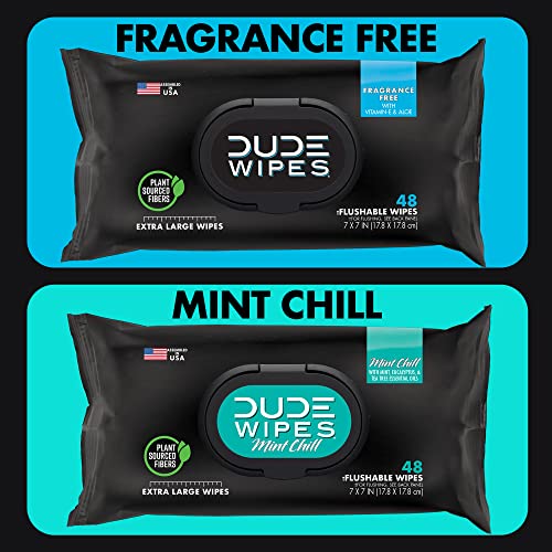 DUDE Wipes Flushable Wipes Dispenser, Unscented & Mint Chill Combo, Wet Wipes with Vitamin-E & Aloe for at-Home Use, Septic and Sewer Safe, 48 Count (576ct, Pack of 12)