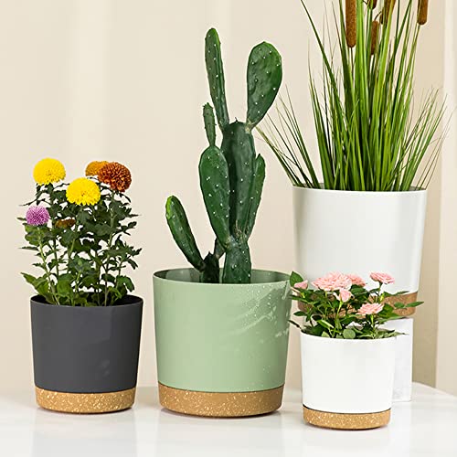 Zmtech Plant Pots, Set of 3 8'' Self Watering Plastic Planter with Drainage Hole and Saucer, Modern Decorative Flower Pot for Indoor Outdoor House Plants, Succulents, Flowers - Dark Gray